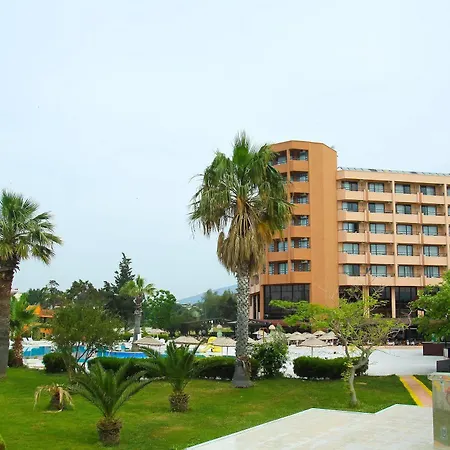 The 4* 迪迪姆
